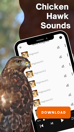 Chicken hawk sounds screenshot 1