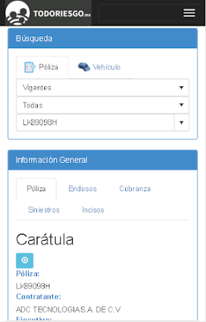 Todo Riesgo MX Screenshot 1