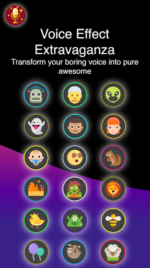 Voice Changer With Effects Screenshot 3