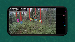 Timbeter Forest Screenshot 0