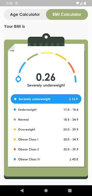 Age and BMI Calculator Screenshot 1