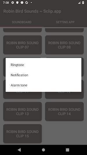 Robin Bird Sound Collections ~ Sclip.app Screenshot 3