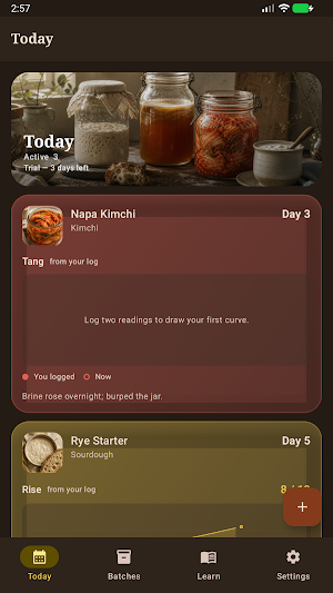 Brinepost: Sourdough & Ferment Screenshot 0