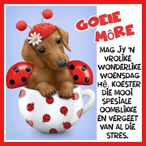 Goeie môre Beelde Screenshot 1