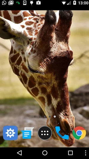 beautiful animal wallpaper Screenshot 1