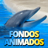 Fondos de pantalla de delfines