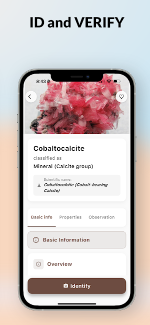 Rock Identifier & Stone ID Screenshot 3