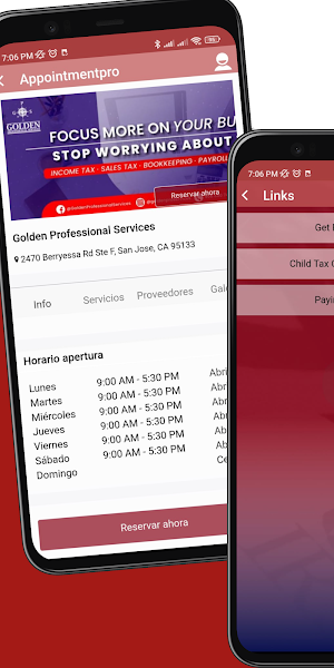 Golden Professional Services Screenshot 2