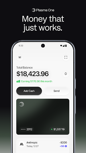 Plasma One: Stablecoin Card Screenshot 0