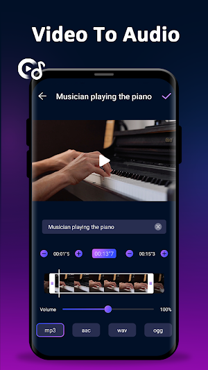 Video to MP3 Audio Converter Screenshot 1