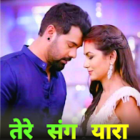 Hindi Status - Video status,Shayari तेरे संग यारा