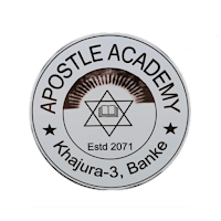 Apostle Academy