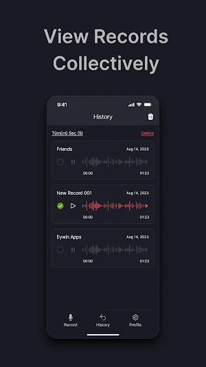 Grooz Voice Recorder Screenshot 3
