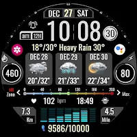 Informative Digital Weather A4