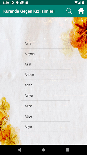 Bebek isimleri Screenshot 2