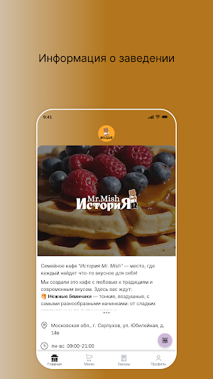 Кафе История Mr.Mish Screenshot 0