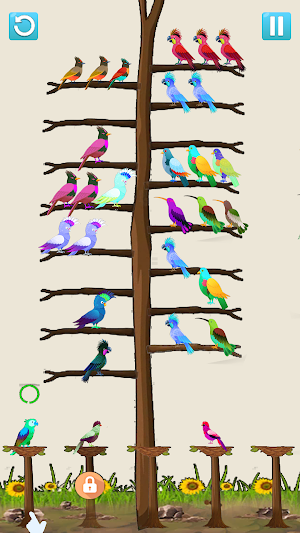 Bird Sort: Color Puzzle game Screenshot 3