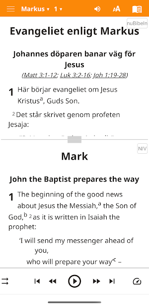 nuBibeln Screenshot 1