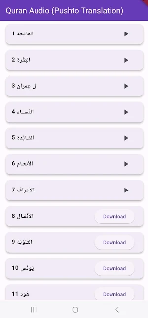 Quran Pushto Download & Play Screenshot 0