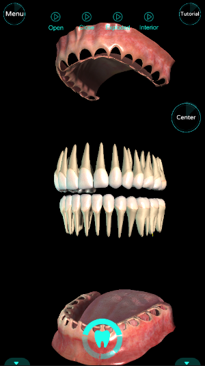 Dental Pro Screenshot 2