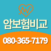 암보험추천