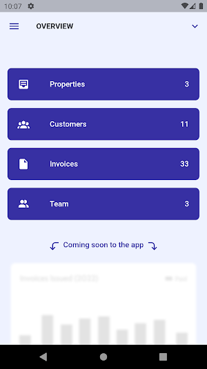 Invoiless Screenshot 2