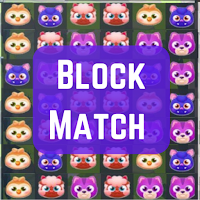 Block match