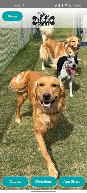 Lucky Pup Lodge Screenshot 0