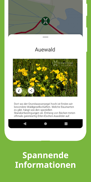Externsteine Nature Trails Screenshot 1