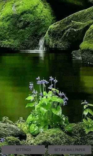 Green Nature Live Wallpaper Screenshot 0
