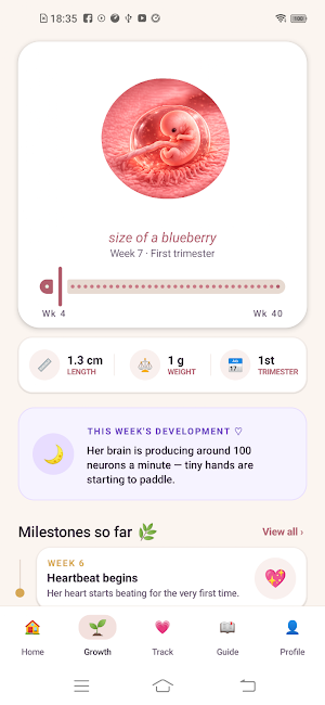 Mumma: Pregnancy Tracker Screenshot 0