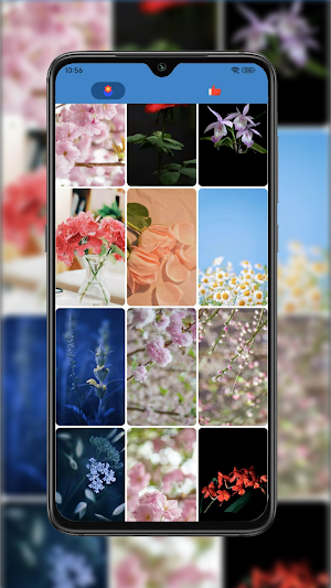 Floral Bliss Screenshot 2