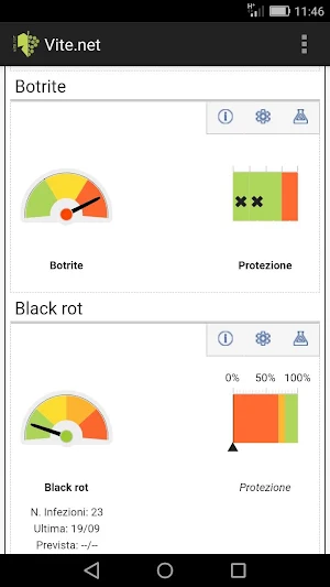 vite.net Screenshot 2
