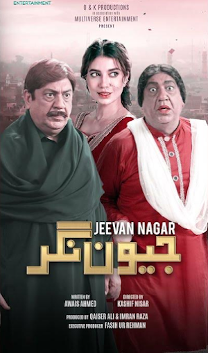 Jeevan Nagar Pakistani Drama Screenshot 3