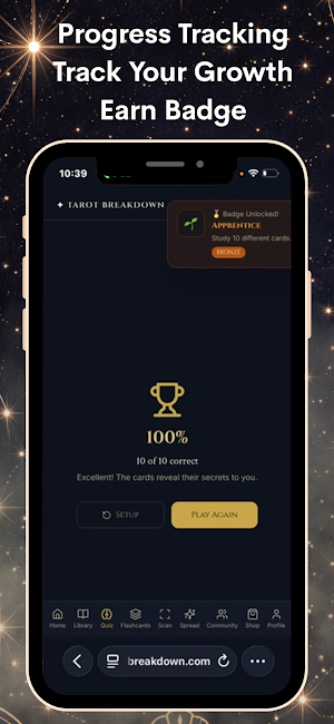 Tarot Breakdown Screenshot 2