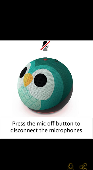 echo dot 5th generation guide Screenshot 3