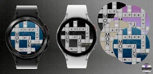 TSD19 Crossword Watch Face Screenshot 0