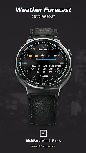 RoverOne Watch Face Screenshot 3