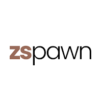 Zspawn: Professionals Connect