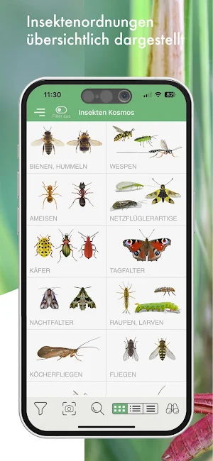 BUND Insekten Kosmos Screenshot 2