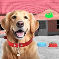 Pet Animal Shelter Rescue Game