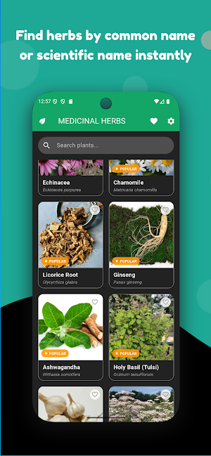 Medicinal Herbs Screenshot 2