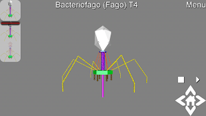3D Bacteriophage T4 Explorer Screenshot 1