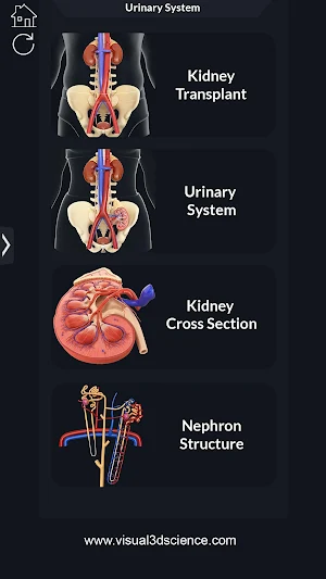 Urinary System Pro. Screenshot 1