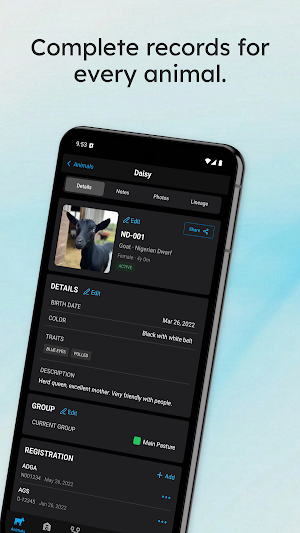 Livestockstar Screenshot 1
