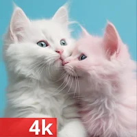 Cute Animal Wallpaper