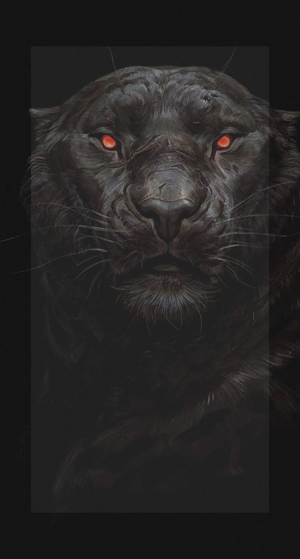 Black Panther Wallpaper Animal Screenshot 0
