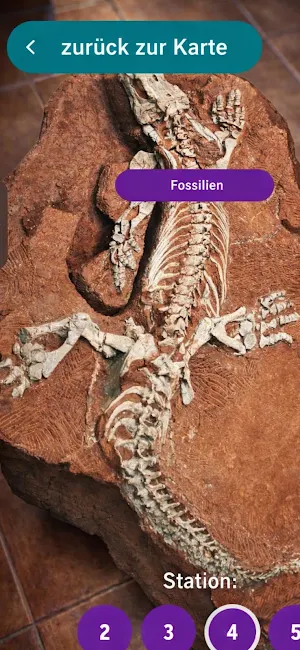 BROMACKER AR Screenshot 0