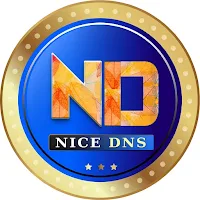 NICE DNS