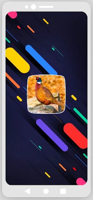 Pheasant Sounds Screenshot 0